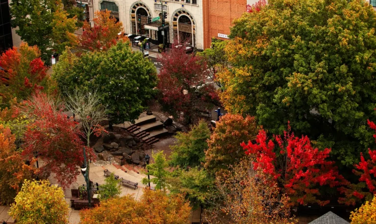 Pritchard fall