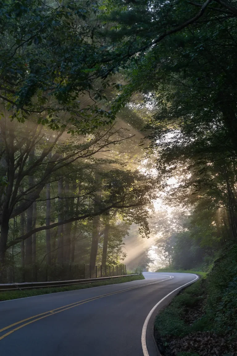a vignette of sunrise on the blue ridge parkway