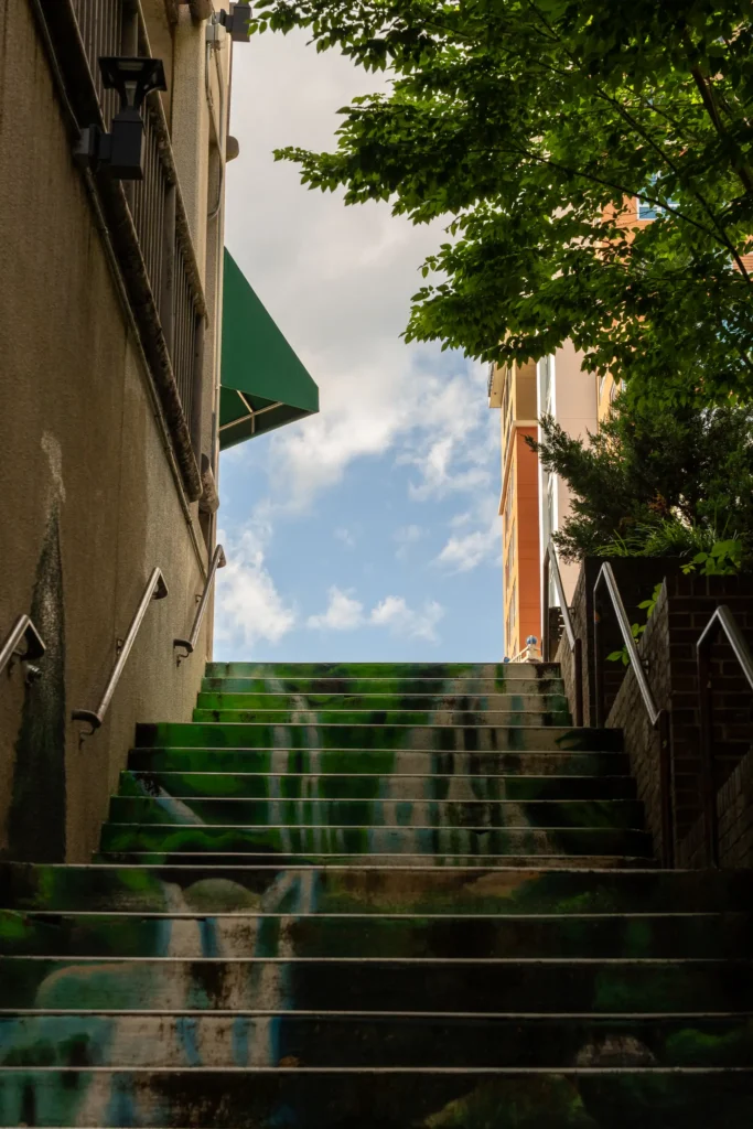 a stairway between streets in Asheville