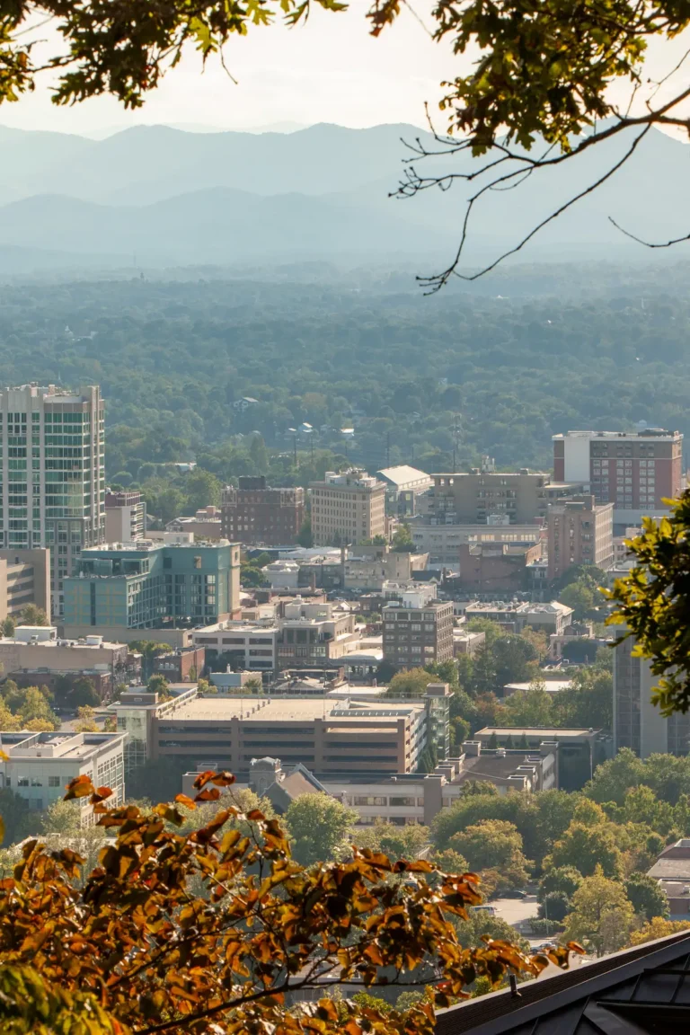 The Flat Iron Hotel in the center of downtown Asheville, as seen from the hills