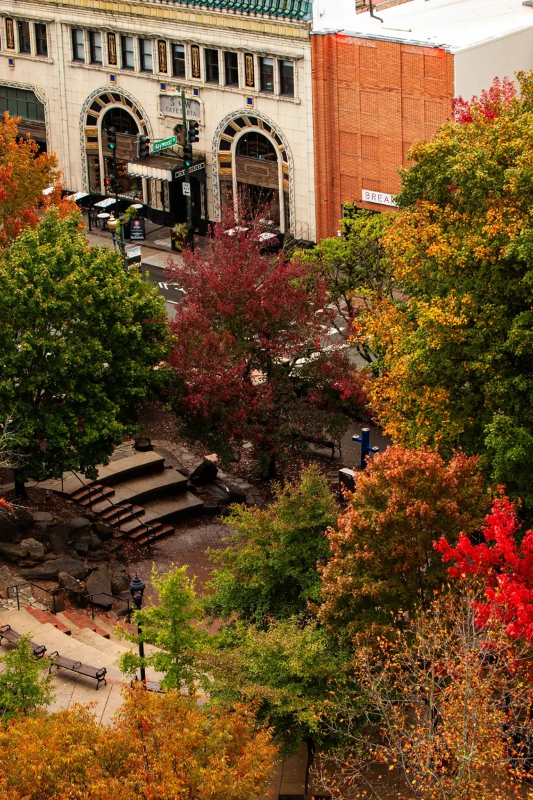 a view of pritchard park in asheville as seen from the window of the Flat Iron hotel