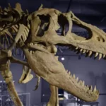 Asheville Musuem of Science