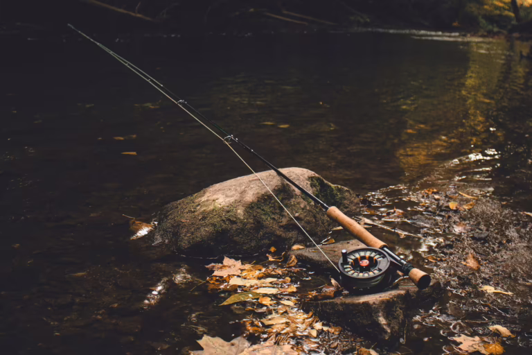 A fly fishing rod